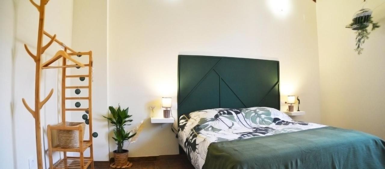 Casa Bienvenida - Carcaixent Bed & Breakfast Eksteriør bilde